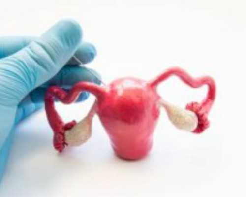 国内地贫捐卵联系,试管进周是不是就快了,试管一般什么时候进周