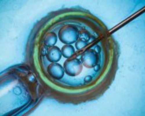 全国供卵私立医院哪家好,试管婴儿中的3个冷知识你又知道多少