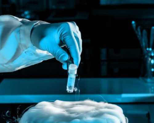 国内供卵试管做几代,孕妇不能吃哪些食物？盘点孕妇不能吃的12种食物清单！