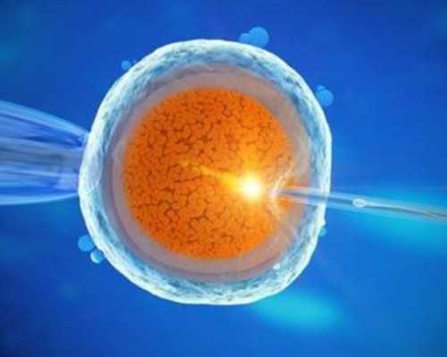 国内供卵费用明细,支原体感染是什么意思，支原体感染能试管婴儿吗附好孕方案