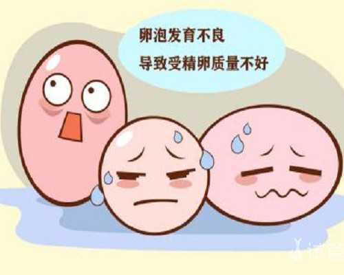 国内第三方代孕公司,做试管婴儿伤害究竟大不大？