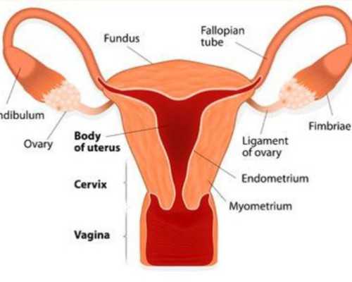 国内可靠的供卵医院,38岁做试管有*的吗试管*率高吗