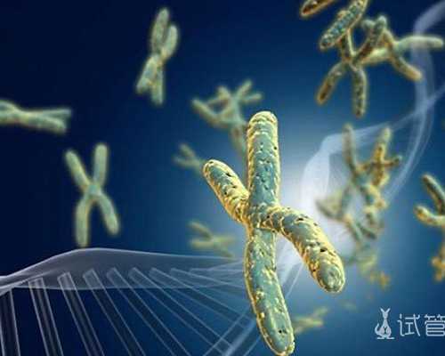 国内私立供卵医院排名前十名,重庆试管婴儿成功率，以上的5家医院参考