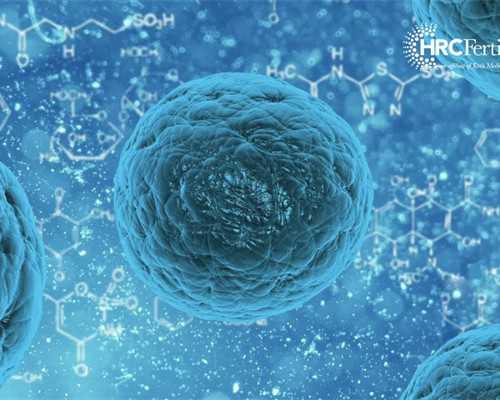 国内代怀妈妈,梧州市工人医院可以做试管婴儿吗？