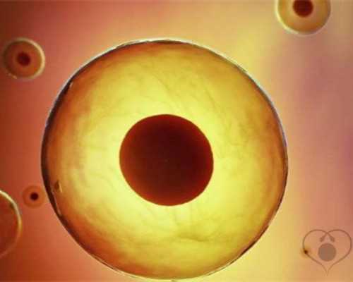 国内哪家供卵试管好些,打了艾泽250ug几天能代谢完戳，第十天别还不敢走下一步