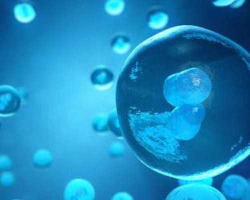 国内试管代生男孩,杜淳跟姚笛演的电视剧叫什么名字（杜淳和姚笛演的电视剧叫什么）