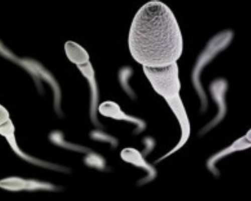 国内供卵试管哪家好,无*哪家试管婴儿医院靠谱