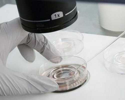 国内供卵机构公司排名,上海试管私人代生机构排名？附费用详情？