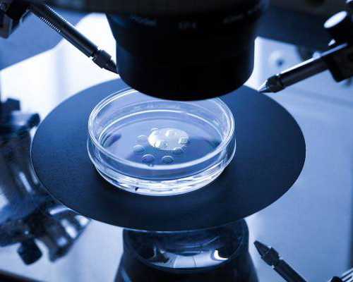 正规国内代怀助孕咨询,冻胚移植后注意事项有哪些