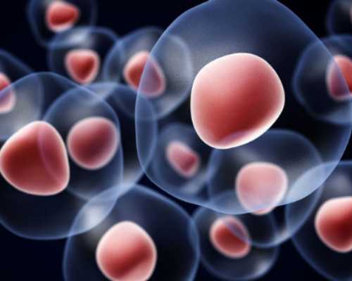 国内哪里有供卵的地方,基础卵泡少到只有一个，需具体情况具体分析