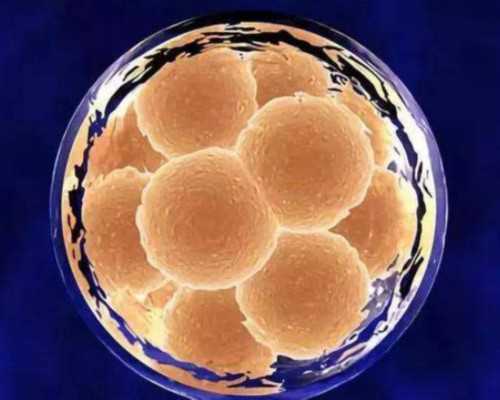 国内私人供卵机构有几家,一文带你读懂：习惯性流产是如何通过试管婴儿助孕的