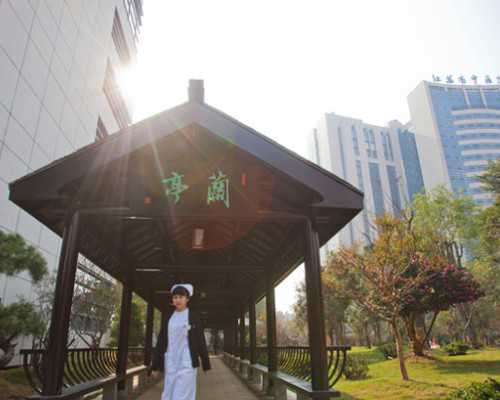 全国供卵中心排名榜最新,沈阳盛京三代试管婴儿哪个分院做得更好(就医指南)