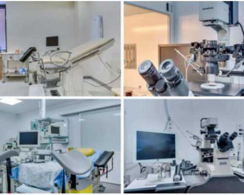 国内哪家有做供卵试管的公司,男女不孕不育的这些原因，你肯定不知道