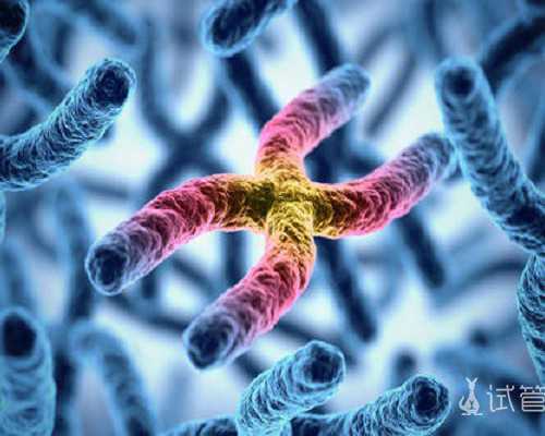 国内代生子,去杰特宁，附试管生子费用！