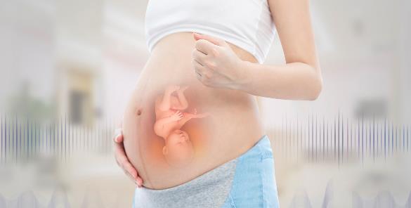 什么样的内膜才能让美国试管婴儿胚胎着床