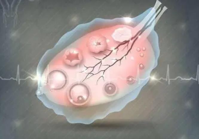 胚胎移植后吃豆芽会导致胎停育吗，豆芽的营养价值分析
