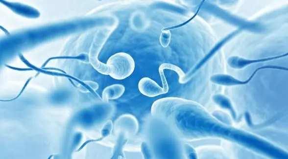 合肥有哪些私立的机构可以做试管技术，试管fet周期是囊胚还是冻胚移植