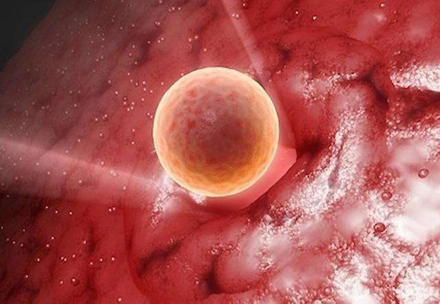 了解鲜胚移植成功的十个征兆，有这些症状表示怀孕了