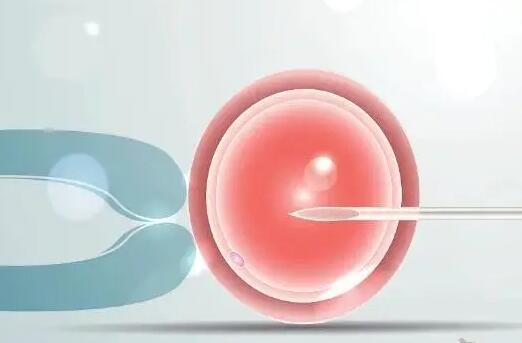 移植时医手法也很重要，技术不佳会导致胚胎着床失败