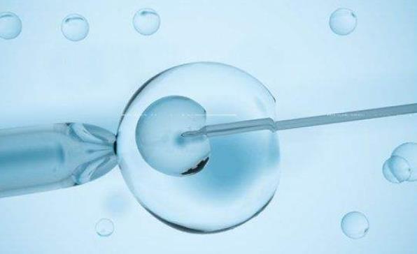 2024国内能做赠卵试管的医院排名，附价格明细