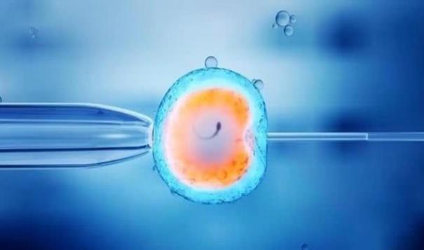 如何有效调理试管婴儿移植内膜薄，这4种调理方法提高成功率